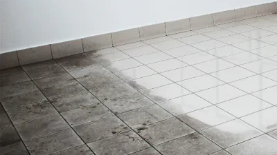 smporco magro sedimentato pulizia rimozione