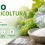 utilizzo del talco in agricoltura biologica talco