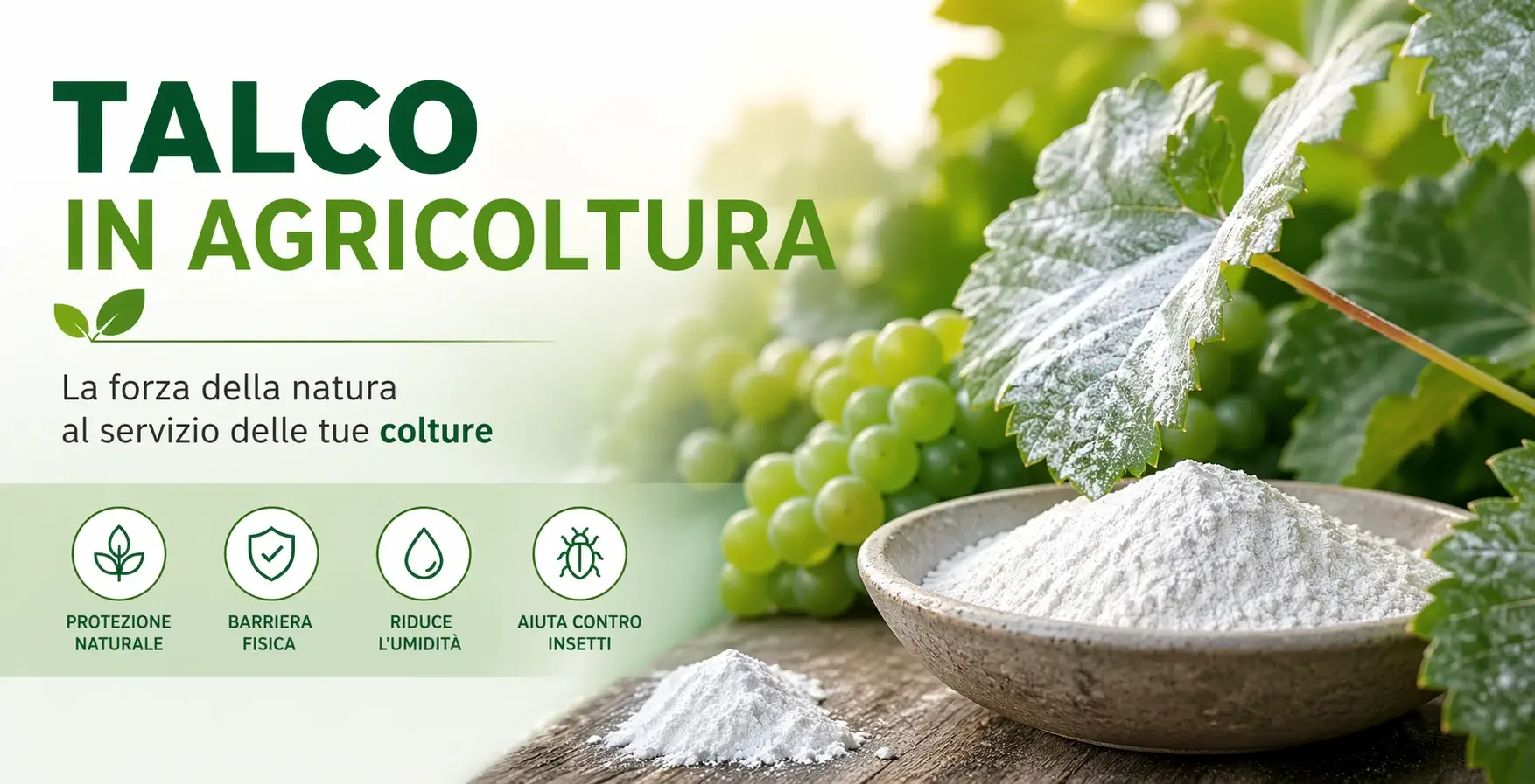 utilizzo del talco in agricoltura biologica talco
